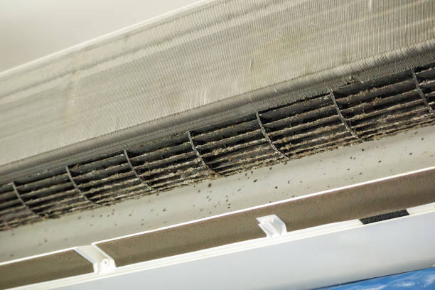 Best Professional Duct Cleaning Services  in Kensington, CT